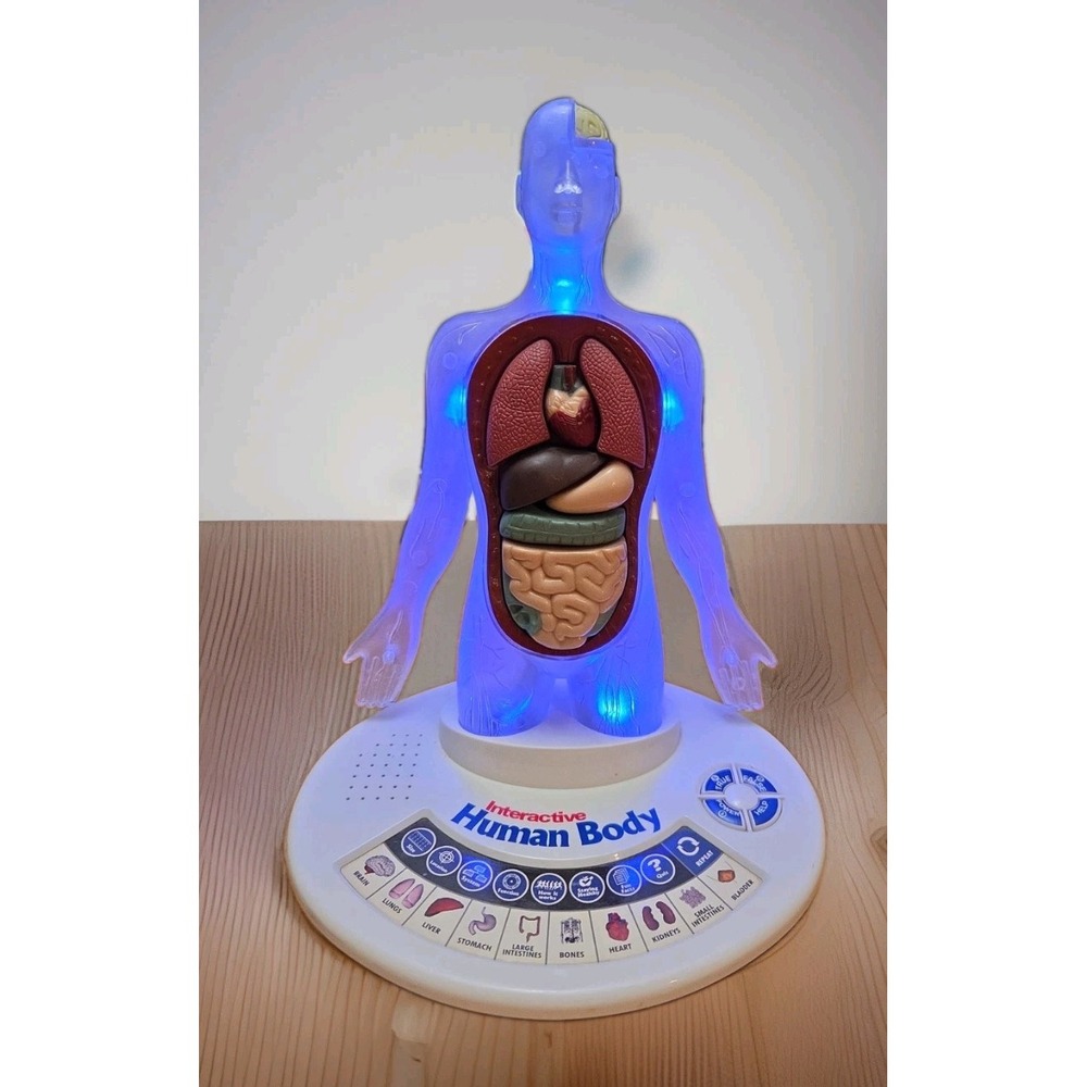 Scientific Toys Interactive Speaking  Human Body Anatomical Learning Toy 2007